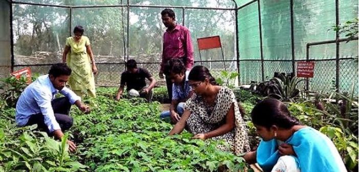 Skill development in horticulture